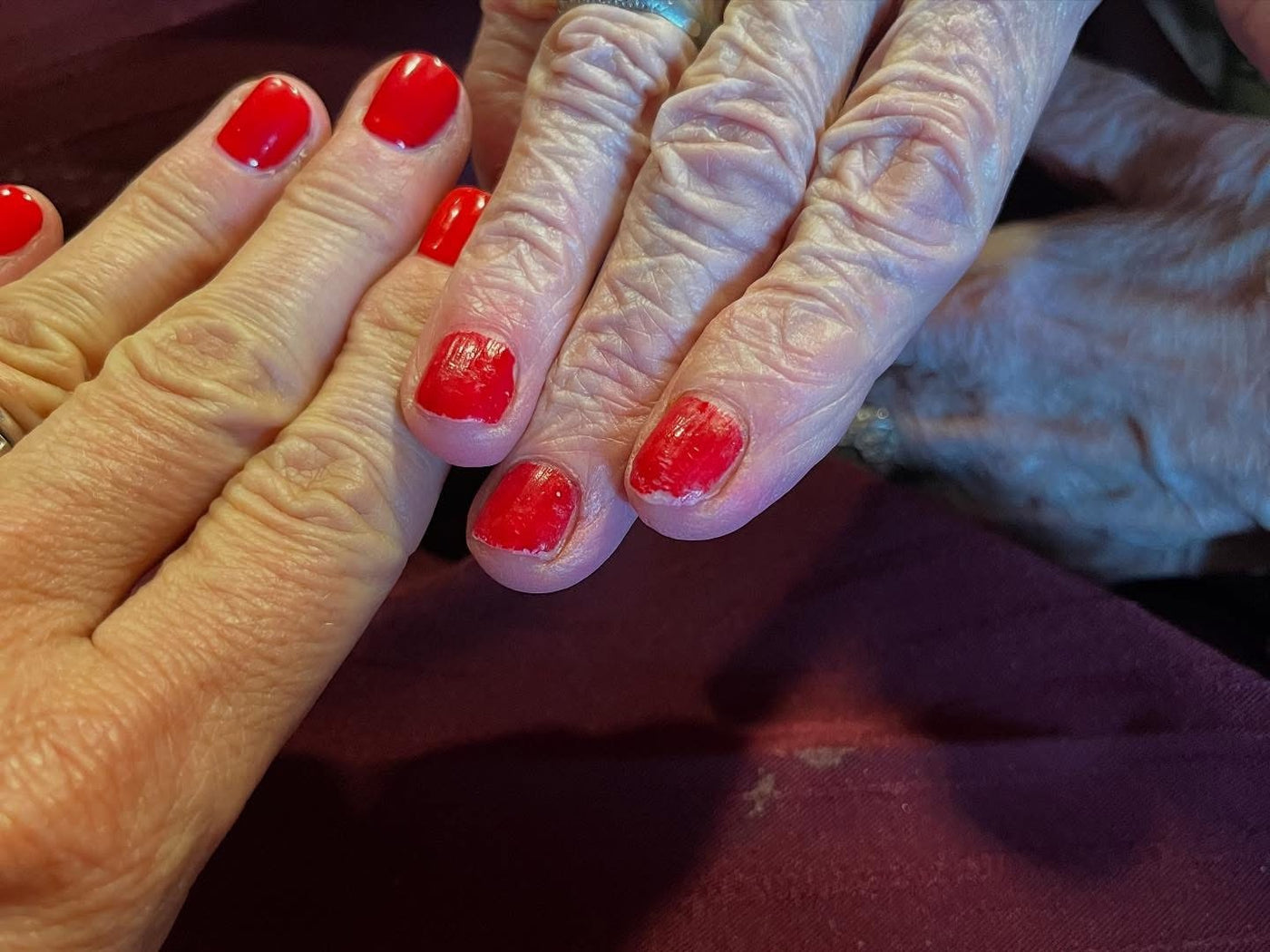 Always Pampered
